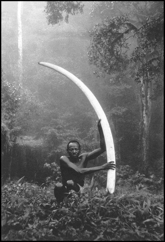 Fotografia de Peter Beard